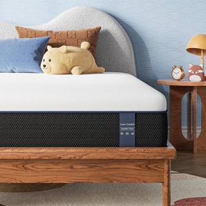 lot 17 image: Viscoflex 8 Twin Size Mattress in a Box