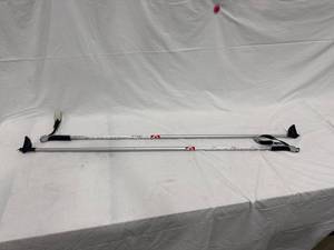 Salomon Siam Ski Poles