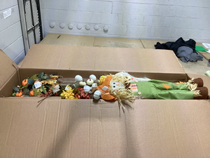 BOX OF Fall Decorations
