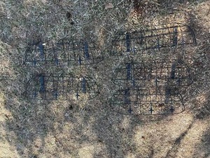 Wrought Iron Garden Trellis PanelsPlant Holders