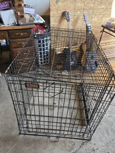 Kong Wire Dog Crate 42 x 28 x 31 - Folds up for storage