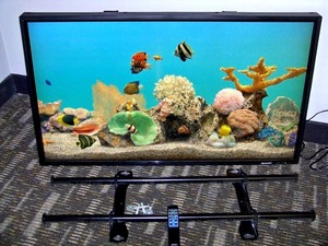 42 Sharp (NEC) PN-E421 Full Color LCD Monitor with Wall Mount and Remote Control