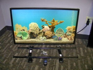 42 Sharp (NEC) PN-E421 Full Color LCD Monitor with Wall Mount and Remote Control