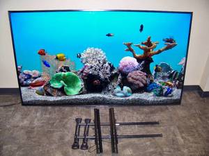 85 Sony FW85BZ35F BRAVIA 4K HDR Professional Display with Remote Control and Wall Mount