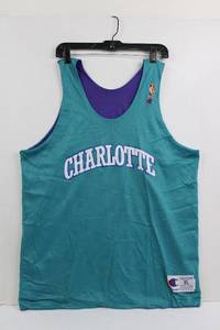 Champion Charlotte Hornets NBA Jersey XL - TealPurple