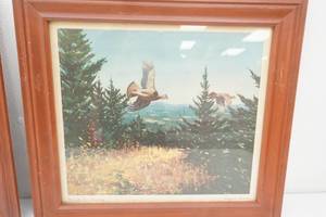 19x 17 Through The Clearing Ruffed Grouse Framed Art Print. by Richard E. Bishop