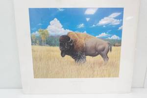 18x16 Majestic Plains by Trevor Eckhoff. Art Print.