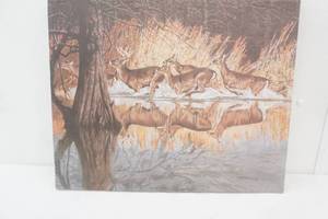 20x16Canvas Art Print. Whitetail Deer by Thom Beecham