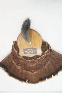 Turkey Feather Mount