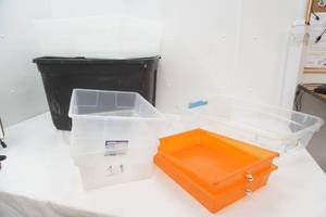 Several Storage Totes (no lids)