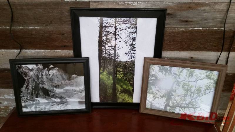 lot 187 image: Nature Wall Art
