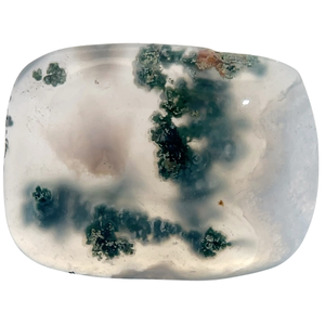 23.30 Carat Dendritic Agate VIDEO