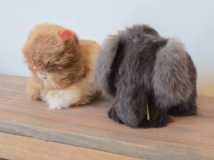 Lot of (2) Plush Toys - Kitten, Woolly Mammoth with Leather Ears and Tusks