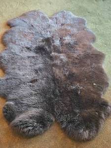 Bear theme Sheepskin Area Rug by Wind Ward� (Australia  New Zealand) 70 x 46
