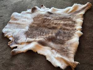 Deer theme Sheepskin Area Rug 54 x 54