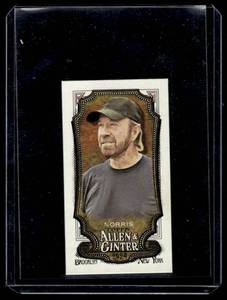 Chuck Norris 2024 Topps Allen & Ginter #155 Card