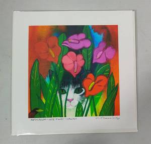 Anthurium - Hideaway - Hawaii by Rosalie Prussing wCOA