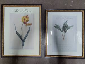 Two Minneapolis Art Institute Art in Bloom Prints