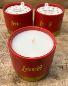 Bushed Delia 12 Oz Scented Candle lot of 4