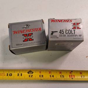 Winchester Super-X .45 Colt 225-grain Silvertip Hollow Point ammunition