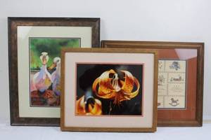 Framed Art Prints Set - Duck Portraits, Orange Lily Close-Up & Country Sampler Many Sizes