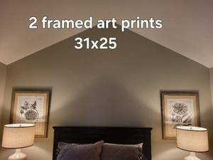 Papaver somniferum Botanical Prints - Framed (2) 31x25 cm Each