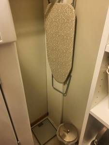 Taylor Digital Scale - Iron, Ironing Board & Stainless Trash Can