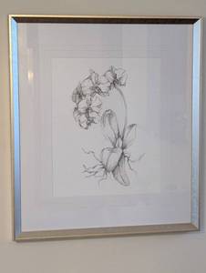 Uttermost Framed Botanical Sketch - Orchid-Like Flower in Silver Frame