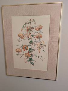 Lilium Henryi Botanical Print - Framed Artwork