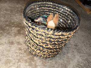 Dog Toys in Woven Basket - 3 Tennis Balls, Plush Dog & Rope Toy