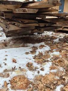 8- Live Edge White Oak Slab Wood