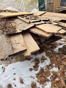 8- Live Edge Elm Slab Wood