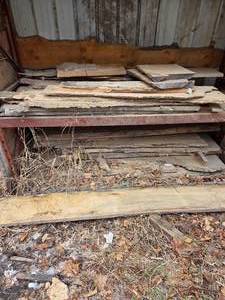 20- Mixed Lot of Live Edge Slab Wood