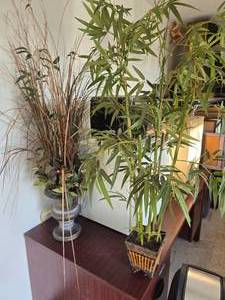 2 Artificial Greenery Potted Plants