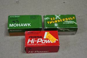 Assorted .22 LR Ammo