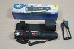 Street Wise Security Guard Stun Flashlight
