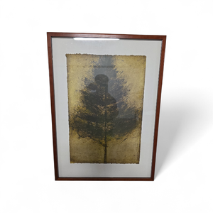 Signed & Framed Artwork