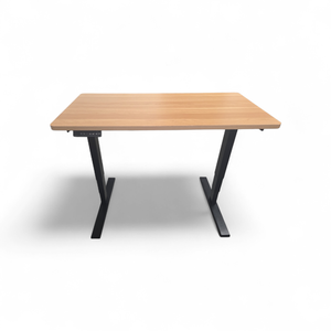 Power Sit Stand Adjustable Height Desk with Memory Settings Retails new for $1800