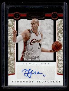 Zydrunas Ilgauskas 25 Auto 2016-17 Grand Reserve #7 Numbered 0325 Basketball Card