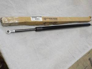 Strut and Hood Assist...