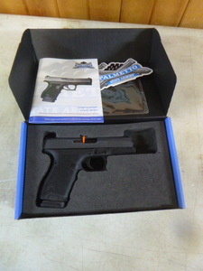 Palmetto Dagger Compact 9mm Pistol