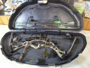 Hoyt Compound Bow