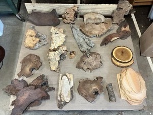 Rustic Live Edge Wood Slabs, Bark Pieces & Plaques Lot