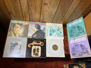 Mixed Vintage Vinyl Record Lot  Dean Martin, Peter Paul & Mary, Carpenter, Dave Mason & Capitol Promo Releases