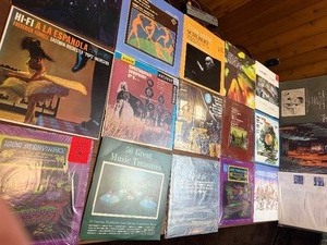 Lot of Classical LPs Stravinsky (Rite of Spring)  Toscanini  Fennell  Eastman Rochester Pops   Ballet  50 Great Music Treasures   Nice mix of labels (RCA, Everest, etc.)
