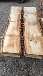 Live Edge Basswood Slab - 24W x 97 Long