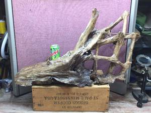 Large Piece Driftwood 36 x 20 x 10 Appears Varnished