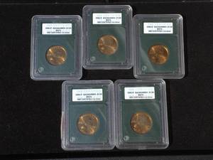 (5) Sacagawea S Slabbed Dollar Coins - INB Certified MS70