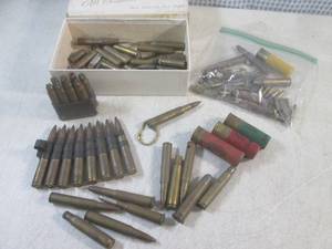 (EC1) Assortment of Loose Ammunitio...