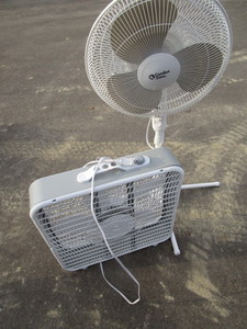 Stand & Box Fans